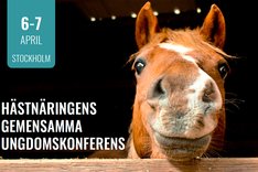 HNS Ungdomskonferens