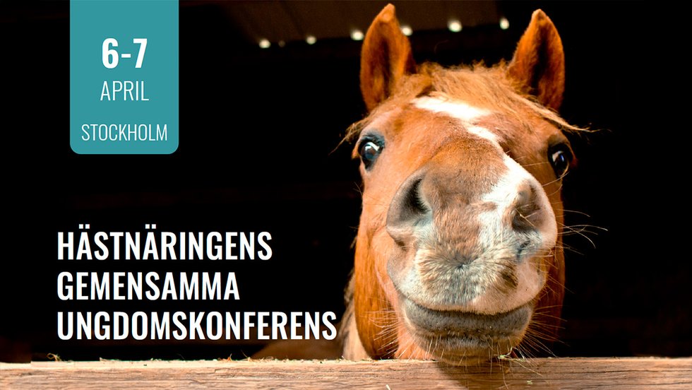 HNS Ungdomskonferens