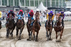 Veckosvep Derbykurva