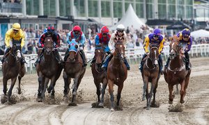 Veckosvep Derbykurva