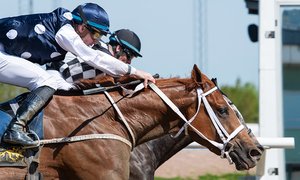 Velox Victory TOP