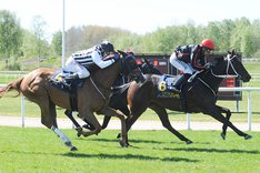 Victoria Kalejs -TOP