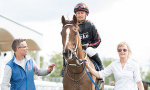 Victor Kalejs TOP