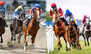 Voterlöpning och Nationaldagsgalopp TOP