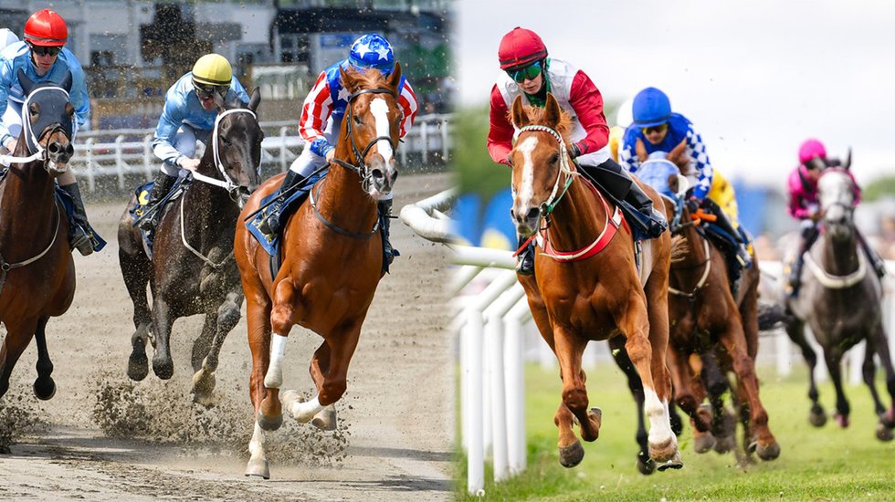 Voterlöpning och Nationaldagsgalopp TOP