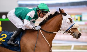 west-bengal-top_4761