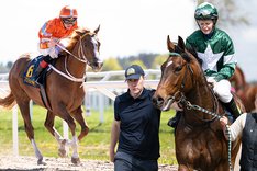 West Wing och Taskmaster - TOP