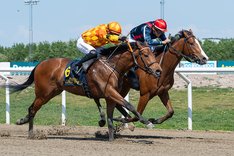 Zidane o Kjell Hroar