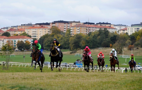 Galopp gärdet