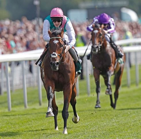 Frankel juddmonte