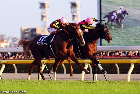 Japan cup