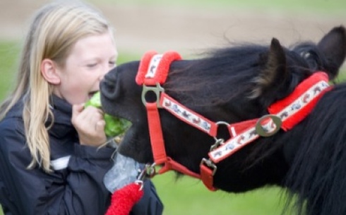 ronja