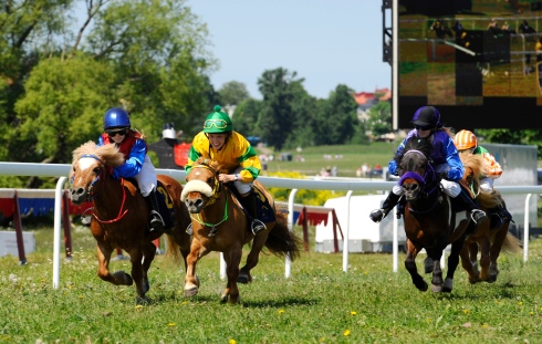 gärdet upplopp