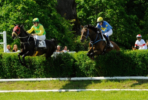 Grand National square