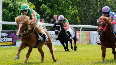 ponnygalopp fält strömsholm toppbild