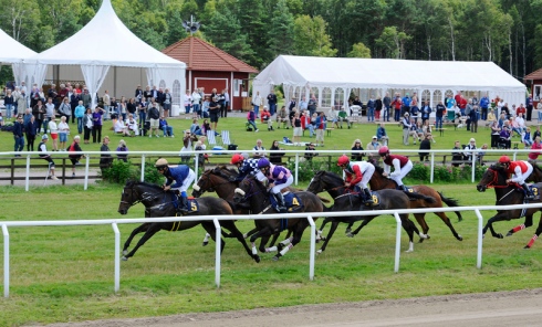 Göteborg Galopp med publikplats square