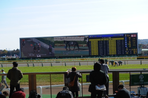 japanracecourse_peeo