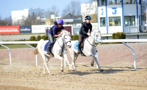 träningstävling jägersro ponnygalopp