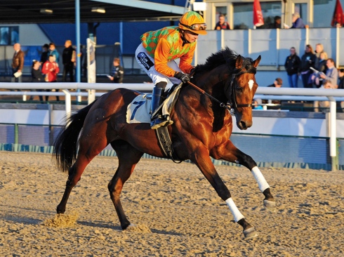 Duke Derby