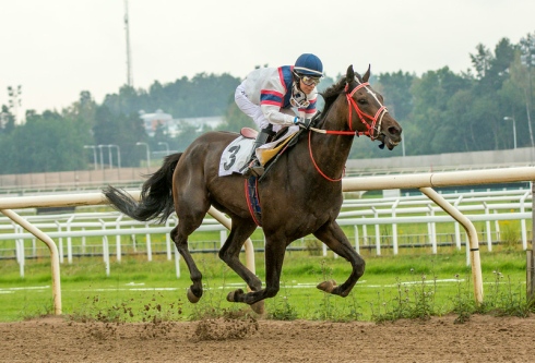 eddie shoestring