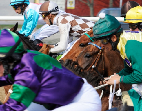 jockeys square