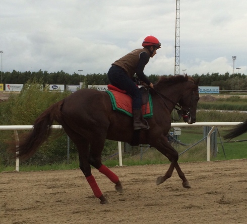 hurricane red träning chaves