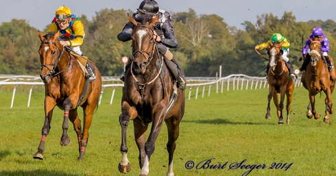 inaya dansk st leger toppbild