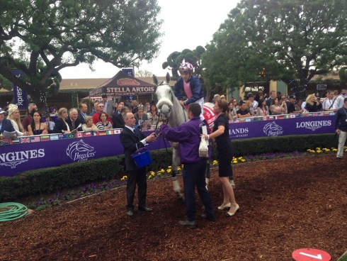 L'amour de ma vie breeders cup