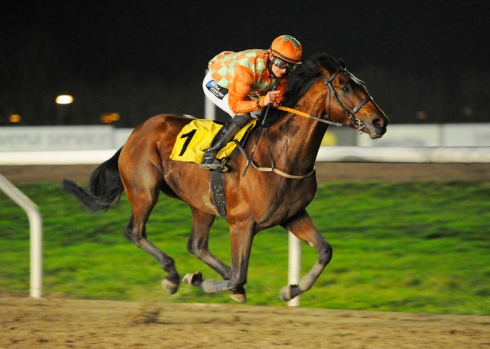 Duke Derby 1