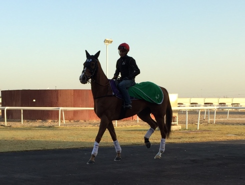 beat baby dubai
