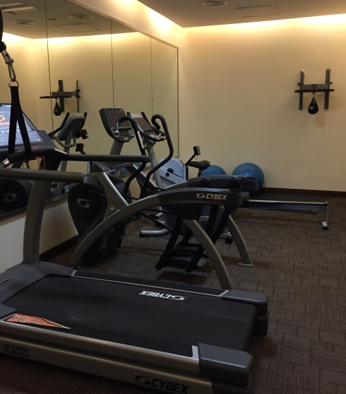 gym vågrummet meydan