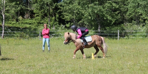 thilde smedberg loppan angarn ponnyläger