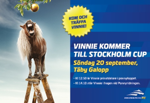 vinnie stockholm cup square