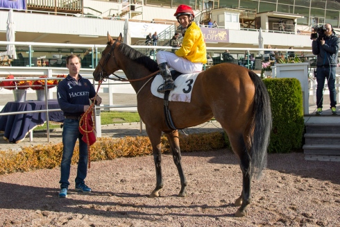 rosehill