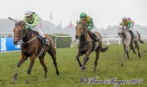 lomax