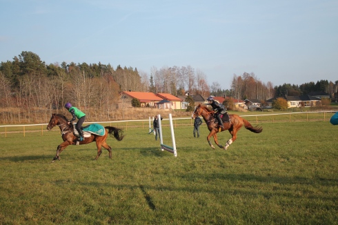 hinderkurs angarn