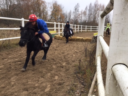 häckkurs ponny hindergården hoppning