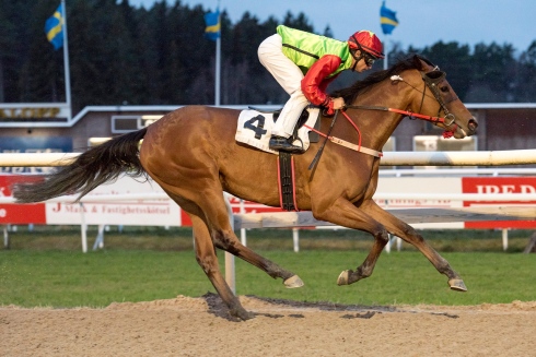 edes ede's piraya