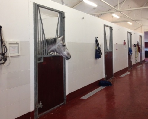 let'sgoforit dubai stall