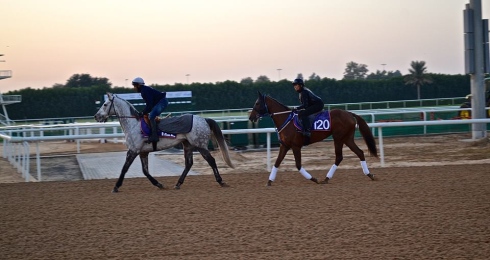 let'sgoforit dolly dagger dubai