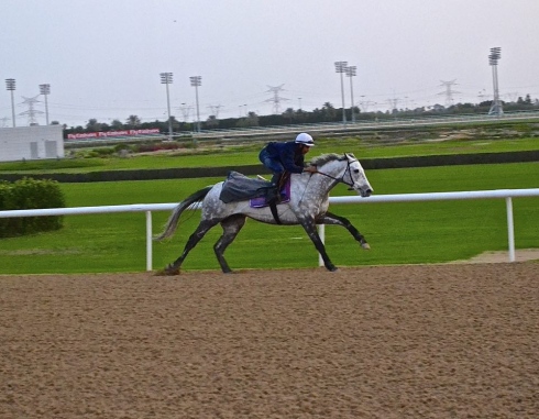 let'sgoforit dubai