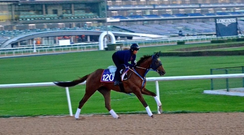 dolly dagger dubai