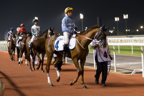 dolly dagger dubai