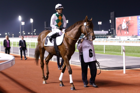 plantagenet dubai per anders gråberg