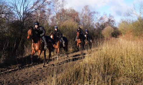 canter stall long