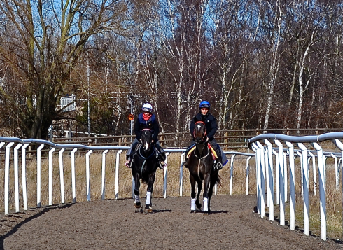Arctic Run och NN (Hat Trick)