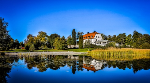 happy tammsvik bild på anläggningen