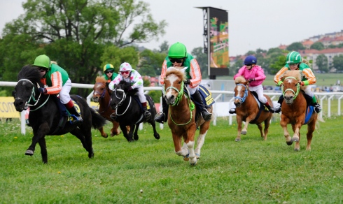 nationaldagsgaloppen ponny ponnygalopp