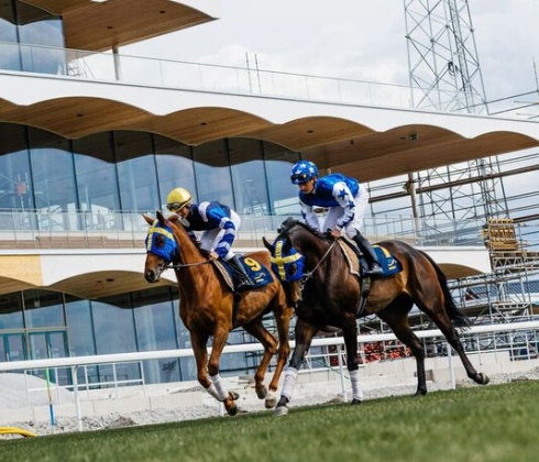 bro park canter