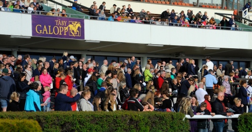 täby galopp publik tribute day